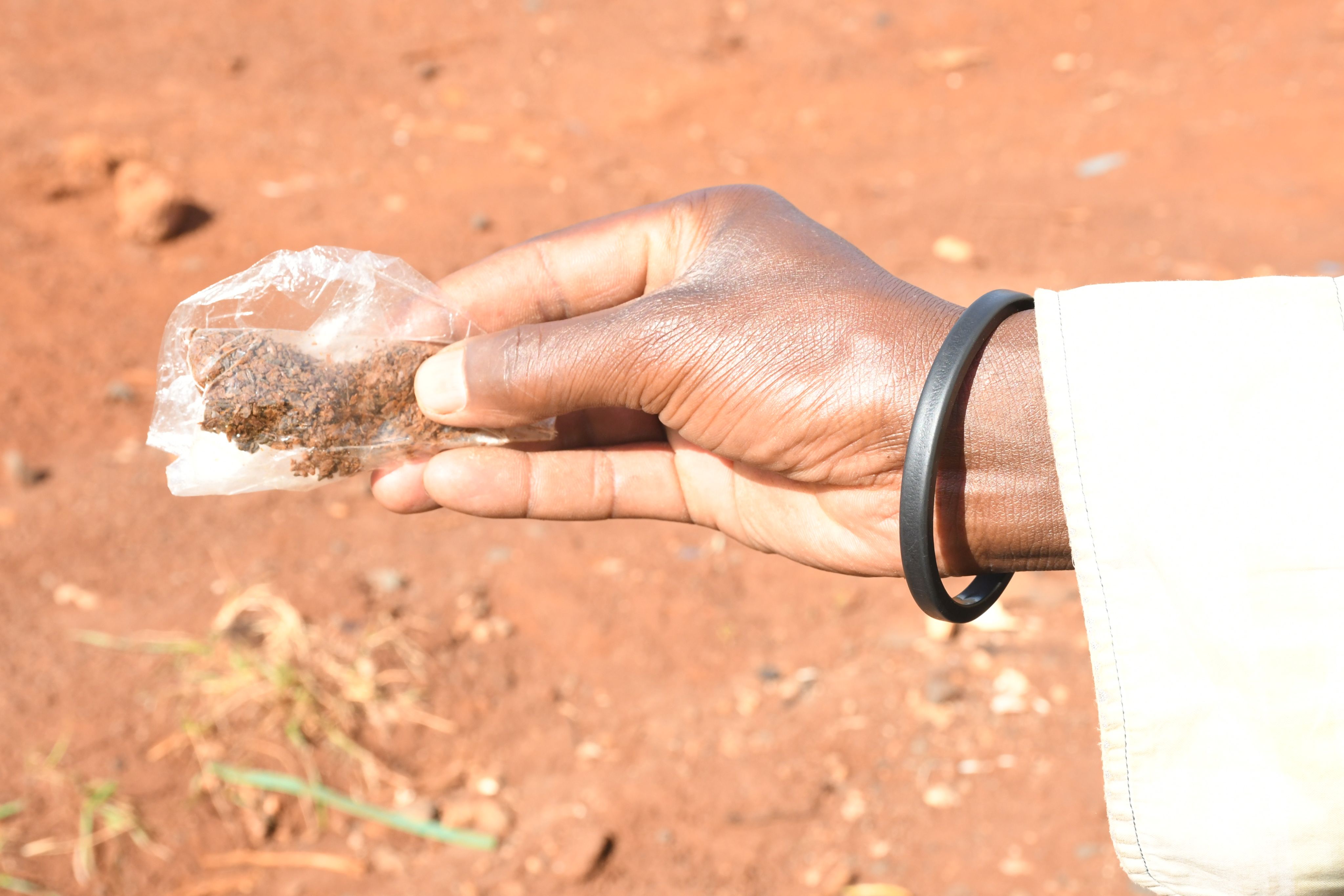 kuber tobacco No Smoke, All Fire: How smokeless tobacco is stealing lives of rural youth  – Willow Health Media